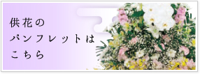 Ԃ̃ptbg͂